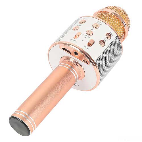 Microphone Karaoke Kèm Loa WSTER WS-858