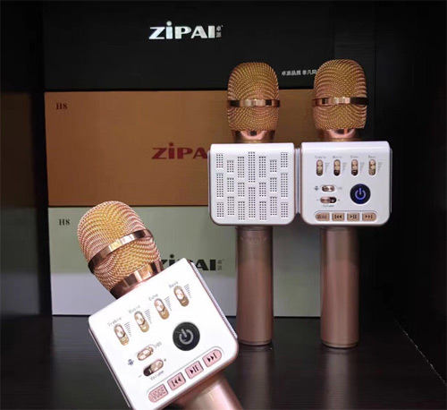 Microphone karaoke kèm loa ZiPAI ZP-11