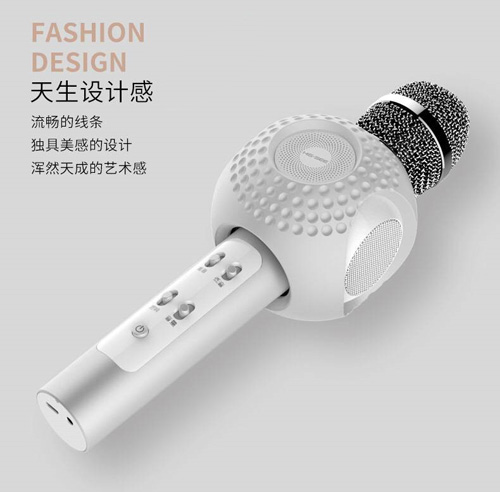 Microphone Karaoke - Loa Bluetooth KTV  HIG-SEE XT5