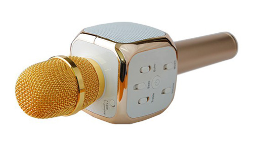 Microphone - Loa Bluetooth 2 IN 1 IRO K8