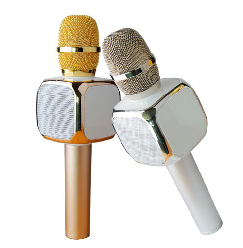 Microphone - Loa Bluetooth 2 IN 1 IRO K8