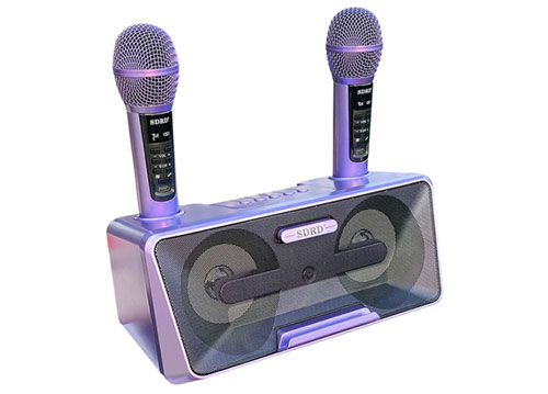 Loa karaoke bluetooth SDRD SD-301S, 2 mic ko dây