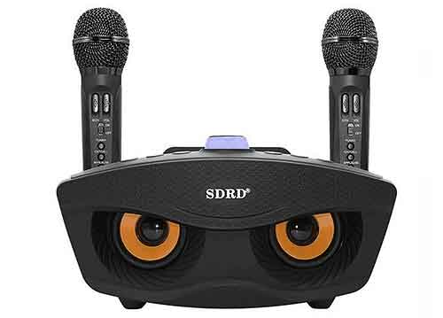 Loa karaoke bluetooth SDRD SD-306, kèm 2 micro không dây
