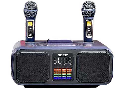 Loa karaoke mini SDRD SD-318, kèm 2 mic không dây