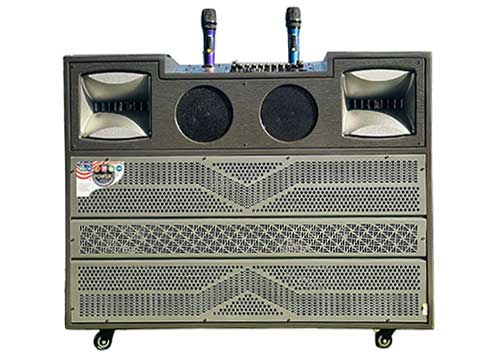 Loa kéo tủ T02Pro, 2 bass 40