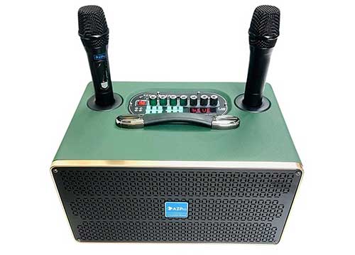 Loa xách tay AZpro AZ-D336, loa 3 đường tiếng