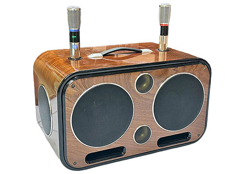 Loa xách tay Soundbox S29, 2 bass 20