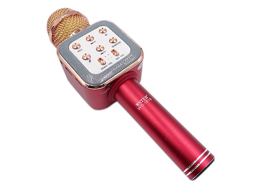 Microphone karaoke kèm loa WS-1818