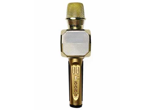 Microphone kèm loa SD-10 chính hãng