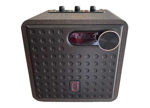 Loa bluetooth karaoke JYX NX201, kèm 2 micro không dây