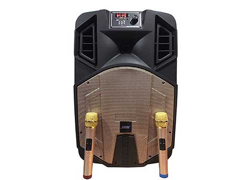 Loa di động Bose ED15F, loa kéo hát karaoke vỏ nhựa, max 450W