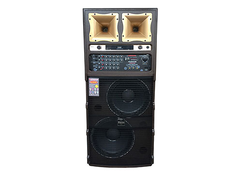 Loa điện Hosan T-501, loa chơi nhạc và karaoke cao cấp