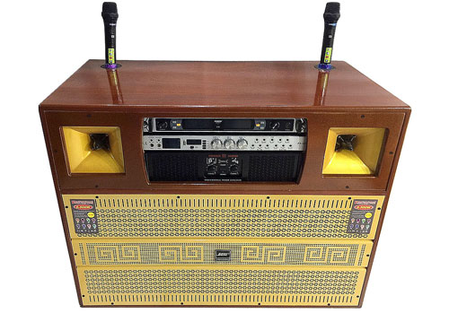 Loa điện MT-8900, loa hát karaoke công suất lớn, power max 1000W