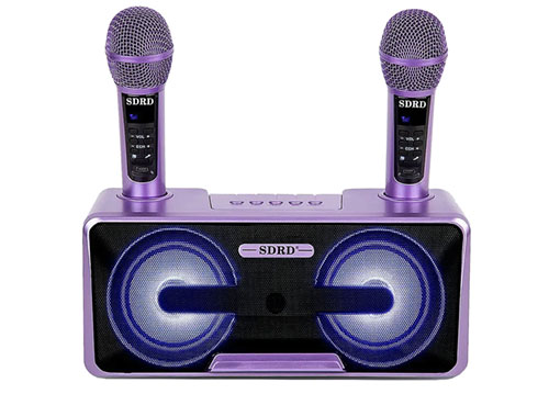Loa karaoke bluetooth SDRD SD-301S, 2 mic ko dây