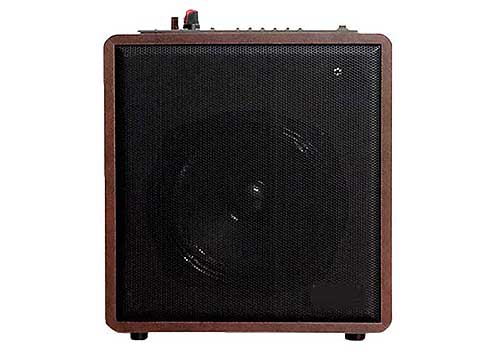 Loa karaoke bluetooth Zansong S88, vỏ bằng gỗ, công suất 35W