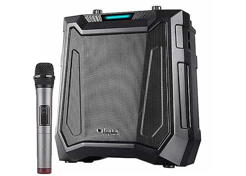 Loa karaoke Caliana DE-06B, cỡ bass 6.5 inch, công suất thực 60W