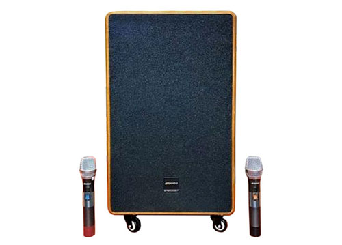 Loa karaoke di động SANSUI SG10-15, loa cao cấp, max 900W