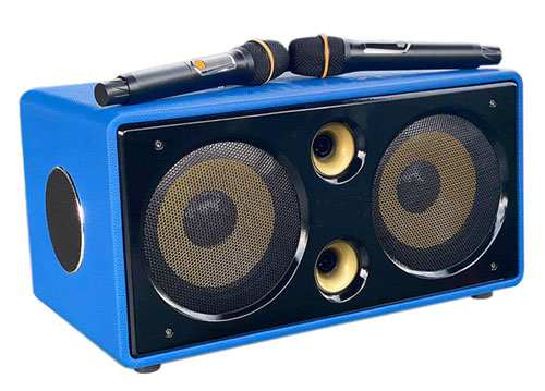 Loa karaoke xách tay DK38, 6 đơn vị loa