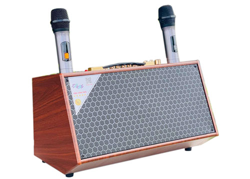 Loa karaoke xách tay S6Pro, 3 đường tiếng