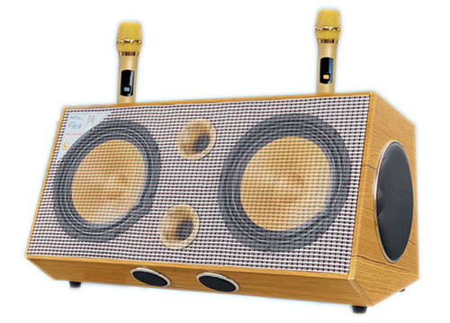 Loa karaoke xách tay S8Pro, bass đôi 20