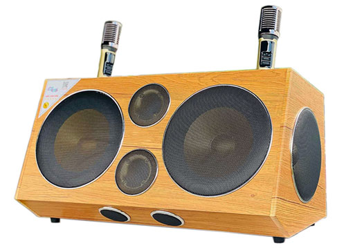 Loa karaoke xách tay S9Pro, 2 bass 25