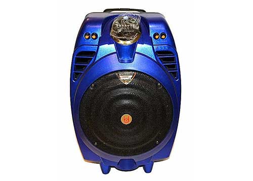 Loa kéo BD-H105Y , loa karaoke cỡ 3 tấc, công suất trung bình 150W