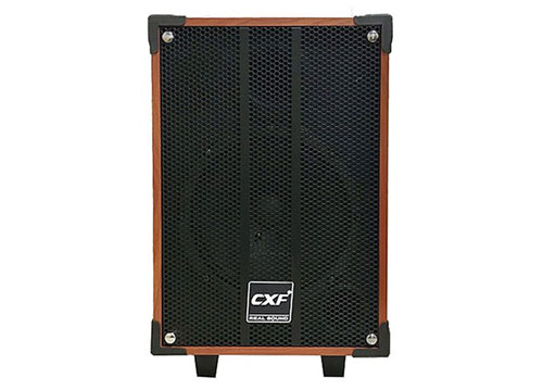 Loa kéo CXF GL-808, loa karaoke vỏ gỗ 2.5 tấc, max đỉnh 100W