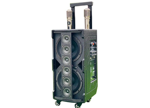 Loa kéo di động 3389, 2 bass 20