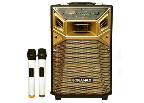 Loa kéo Ronamax Q8, kèm 2 mic không dây 