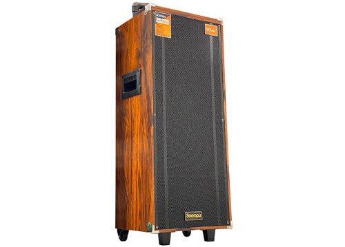 Loa kéo SAEAPU TTD-1122, loa 2 bass nhập khẩu