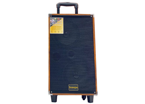 Loa kéo Saeapu TTD-2820W, 2 bass 20
