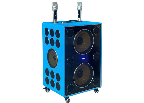Loa kéo Sounbox T579 Plus, 32 củ loa