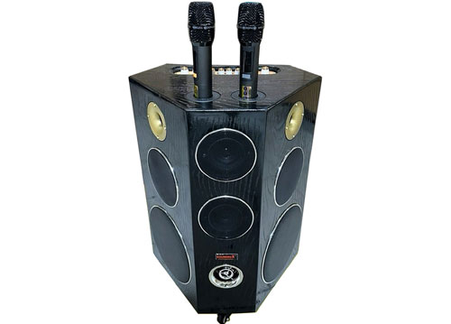 Loa kéo Soundbox SB-629B, dùng 8 củ loa