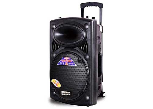 Loa kéo Temeisheng DP297L, loa karaoke 3 tấc, công suất tối đa 350W