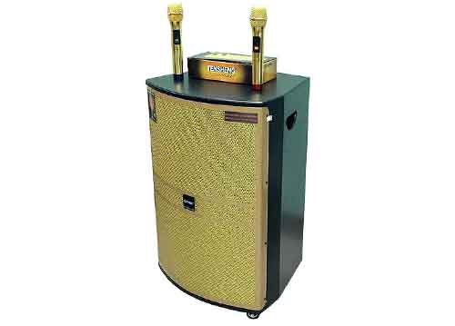 Loa kéo Tensheng TH-18F1, loa vỏ gỗ, bass 5 tấc, max 700W