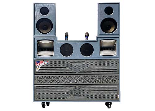 Loa kéo tủ T02Pro, 2 bass 40