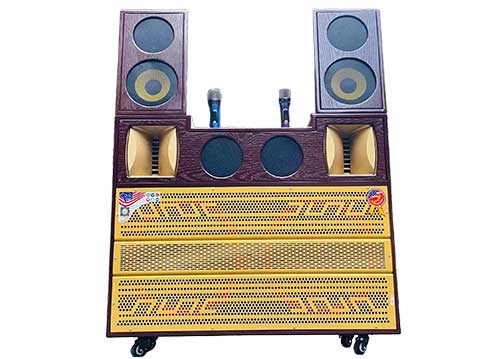 Loa kéo tủ T05Pro, 2 bass 50