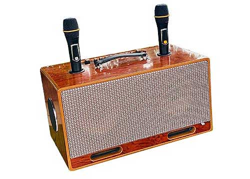 Loa xách tay BB79V, 2 bass 20