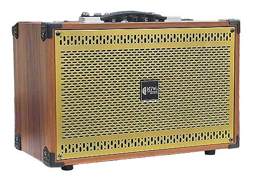 Loa xách tay KIWI XT208, 2 micro UHF