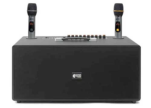 Loa xách tay KIWI XT220, 2 bass 20