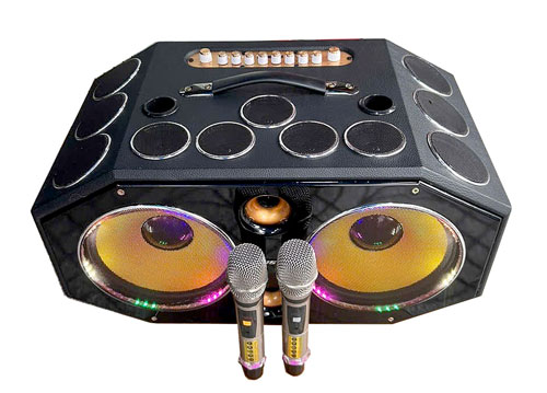 Loa xách tay KP-24B, 25 củ loa