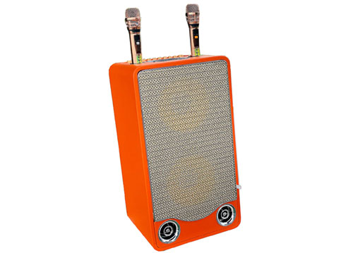 Loa xách tay L2 Pro, 2 bass 25