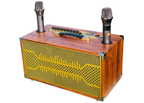 Loa xách tay P266, 3 đường tiếng
