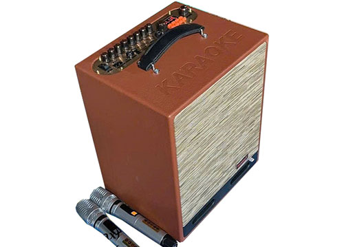 Loa xách tay Sounbox J4, 2 bass 16cm