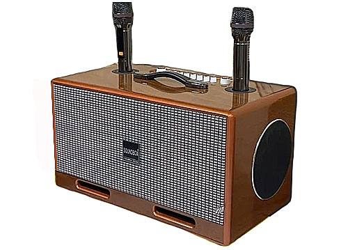 Loa xách tay Soundbox 109, 6 củ loa