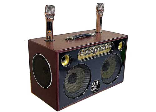 Loa xách tay Soundbox J7, 2 bass 20