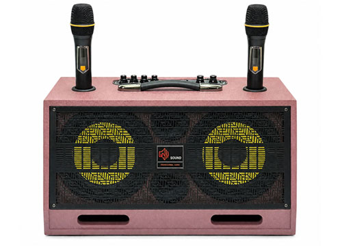 Loa xách tay Soundbox K750, 2 bass 20