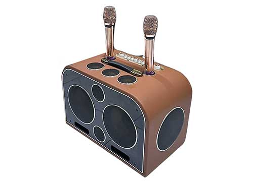 Loa xách tay Soundbox S6, 2 bass 20