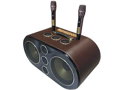 Loa xách tay Soundbox SB201 , 2 bass 25cm