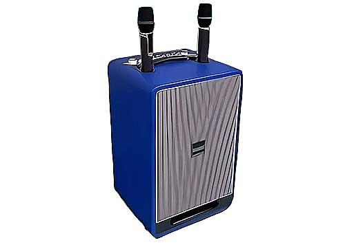 Loa xách tay Soundbox V11, 2 bass 20